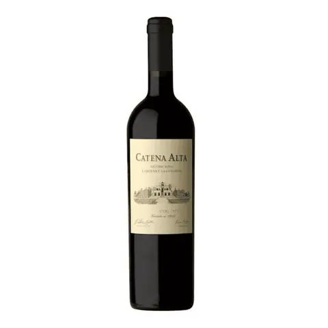 Catena Alta Cabernet Sauvignon 2022 | 96AG 94DES