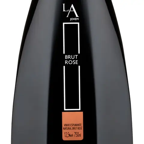 Kit 4 Garrafas Espumante Luiz Argenta Jovem Brut Rosé 750ml