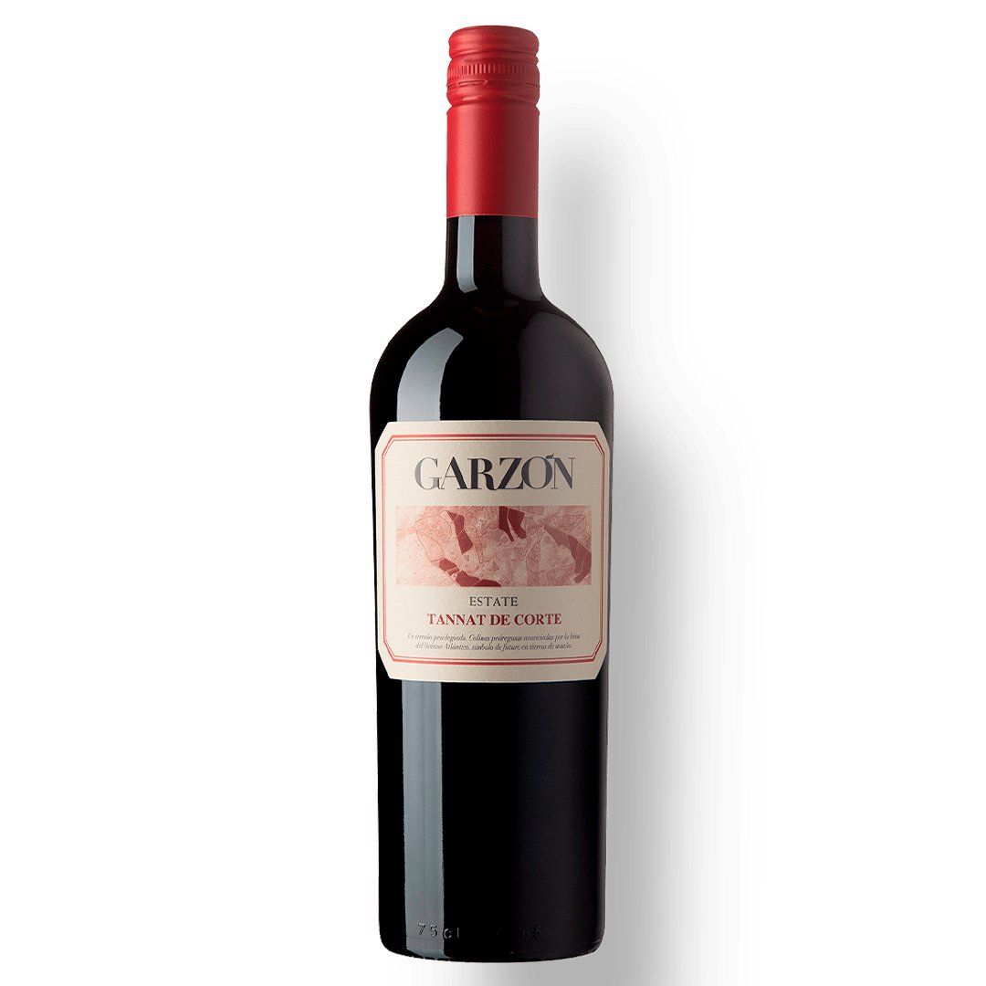Combo Evoluir no Mundo dos Vinhos 6 Garrafas