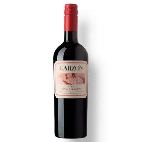 Combo Evoluir no Mundo dos Vinhos 6 Garrafas