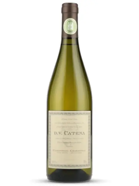 DV Catena Chardonnay-Chardonnay 2024 – IMPORTAÇÃO OFICIAL