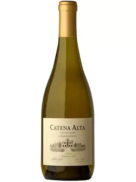 Catena Alta Chardonnay 2022 | 94JS