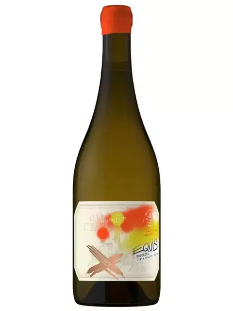 Andes Cru Equis Moscatel – Vinho Natural Laranja 2022 | 93DES 93TA