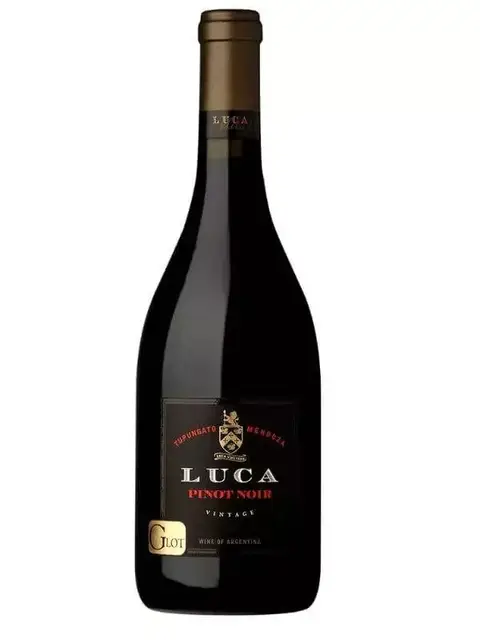 Luca Pinot Noir 2021 (Laura Catena) | 94JS