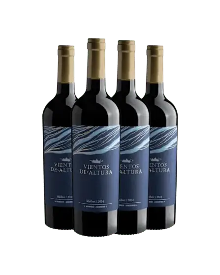 Kit 4 Vientos de Altura Malbec