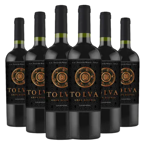 Kit Caixa Fechada 6 Garrafas Vinho Tolva Gran Reserva Carménère