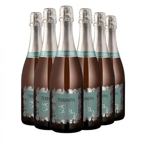 Pack 6 Espumantes Terranova Moscatel 750ml